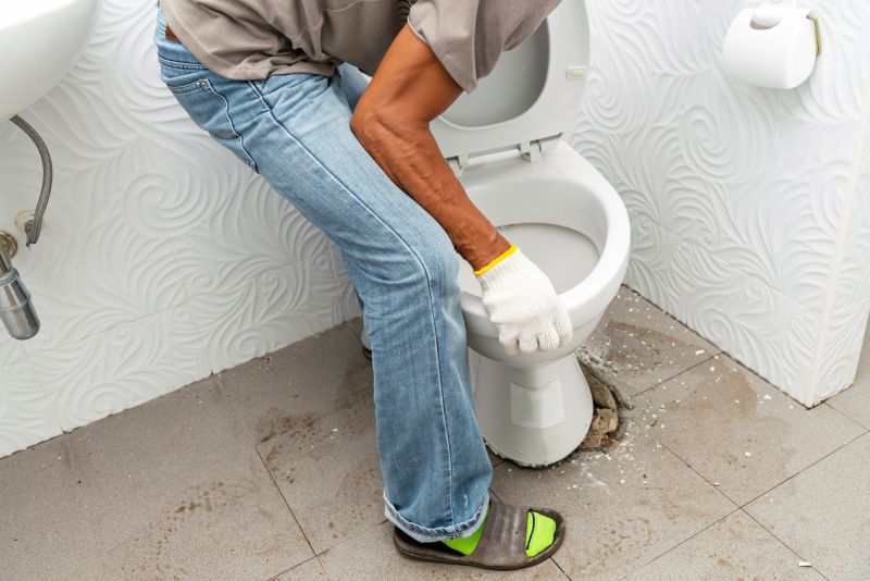 Commercial Toilet Installation